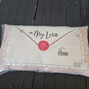 Rachel Roy NWT Valentine's Day Blush Pink White Envelope Throw Pillow Decor